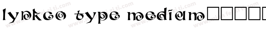 lynkco type medium字体转换